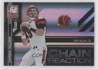 Carson Palmer #/99