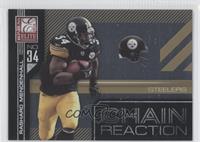 Rashard Mendenhall #/999