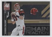 Carson Palmer #/999