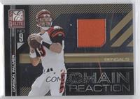 Carson Palmer #/299