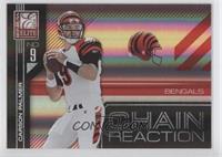 Carson Palmer #/49