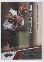 Rookie - Dezmon Briscoe #/50