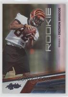 Rookie - Dezmon Briscoe #/50