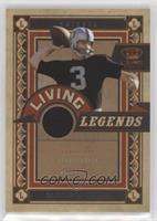 Daryle Lamonica #/299