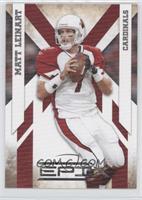 Matt Leinart #/250