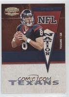 Matt Schaub #/25