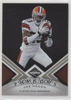 Phenoms - Joe Haden #/499