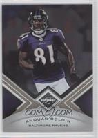 Anquan Boldin #/499