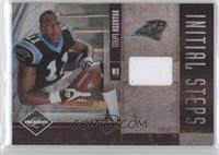 Brandon LaFell #/80