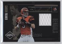 Carson Palmer #/100