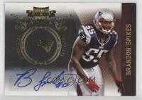 Brandon Spikes #/25