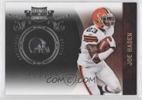 Joe Haden #/100