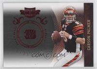 Carson Palmer #/499