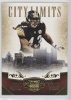 Troy Polamalu #/299