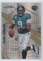 David Garrard #/49