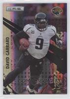 Elements - David Garrard #/99