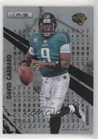 David Garrard #/249