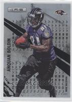 Anquan Boldin #/249