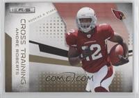 Andre Roberts #/500