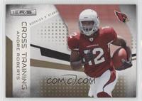 Andre Roberts #/500