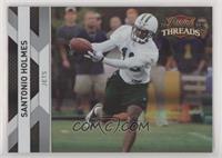 Santonio Holmes #/250