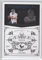 Matt Schaub #/99