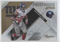 Brandon Jacobs #/100