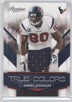 Andre Johnson #/250