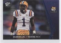 National Leaders - Brandon LaFell