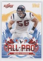 Brian Cushing #/299