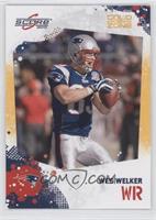 Wes Welker #/299