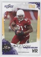 Anquan Boldin #/299