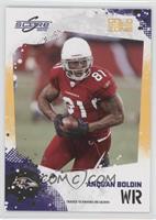 Anquan Boldin #/299