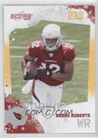 Andre Roberts #/299