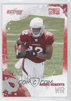 Andre Roberts #/100