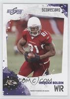 Anquan Boldin #/499