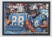 Carolina Panthers Team #/55