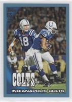 Indianapolis Colts Team #/349