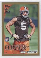 Joe Haden #/2,010