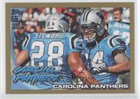 Carolina Panthers Team #/2,010