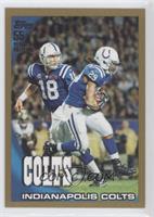 Indianapolis Colts Team #/2,010