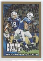 Indianapolis Colts Team #/2,010