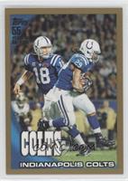 Indianapolis Colts Team #/2,010