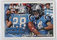 Carolina Panthers Team