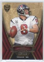 Matt Schaub #/209