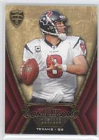 Matt Schaub #/209