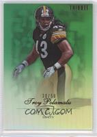 Troy Polamalu #/50