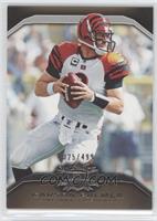 Carson Palmer #/499