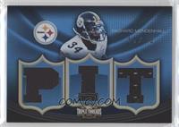 Rashard Mendenhall #/36