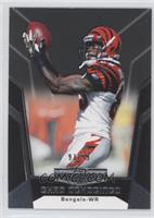 Chad Ochocinco #/99